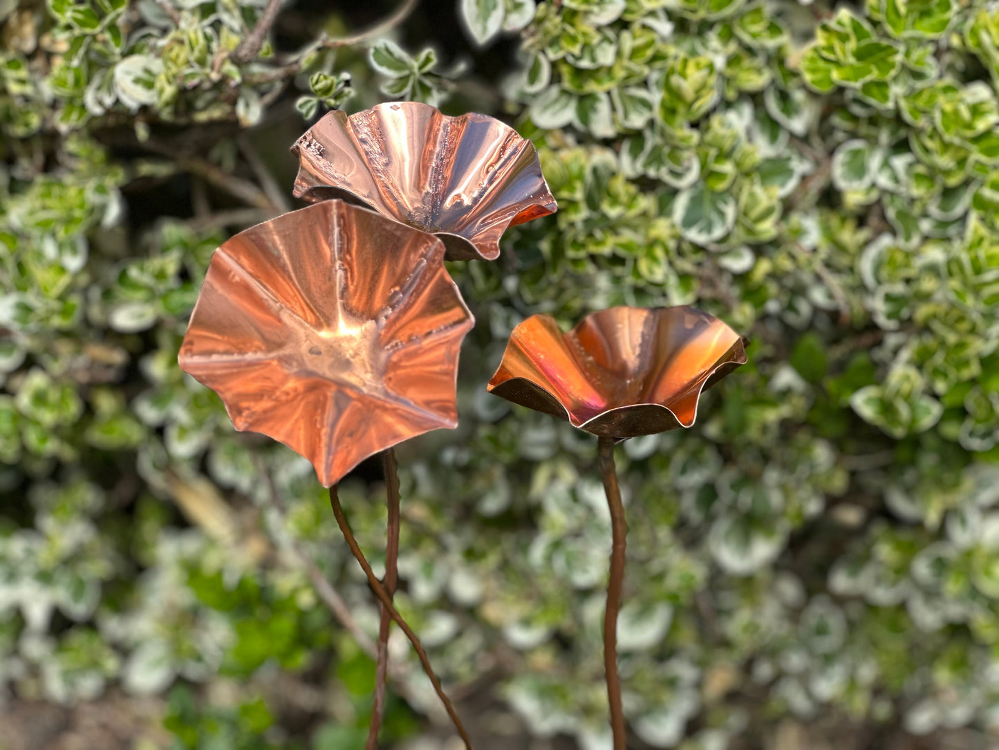 3 x Copper Bee Drinker Bundle
