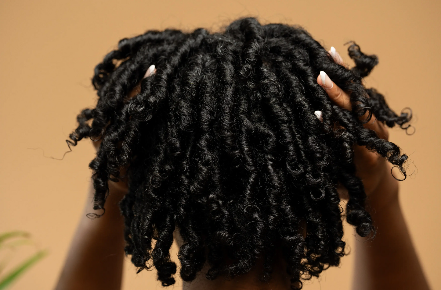Pure Batana Oil  #1 Authentic Hair Growth & Repair Oil from Honduras