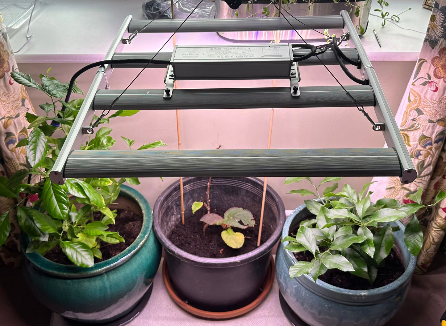 Overhead 200W LED Grow Light | Full Spectrum Hydroponics