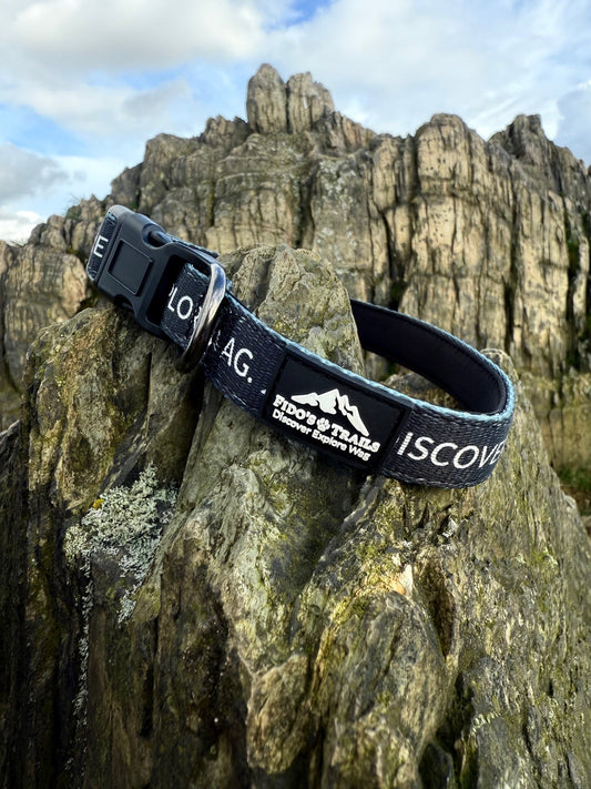 Fido's Signature Collar