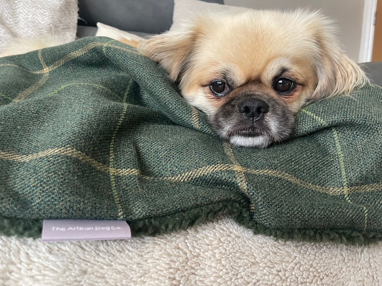 The Arlo Collection Dog/Pet Blanket - Forest Green Check