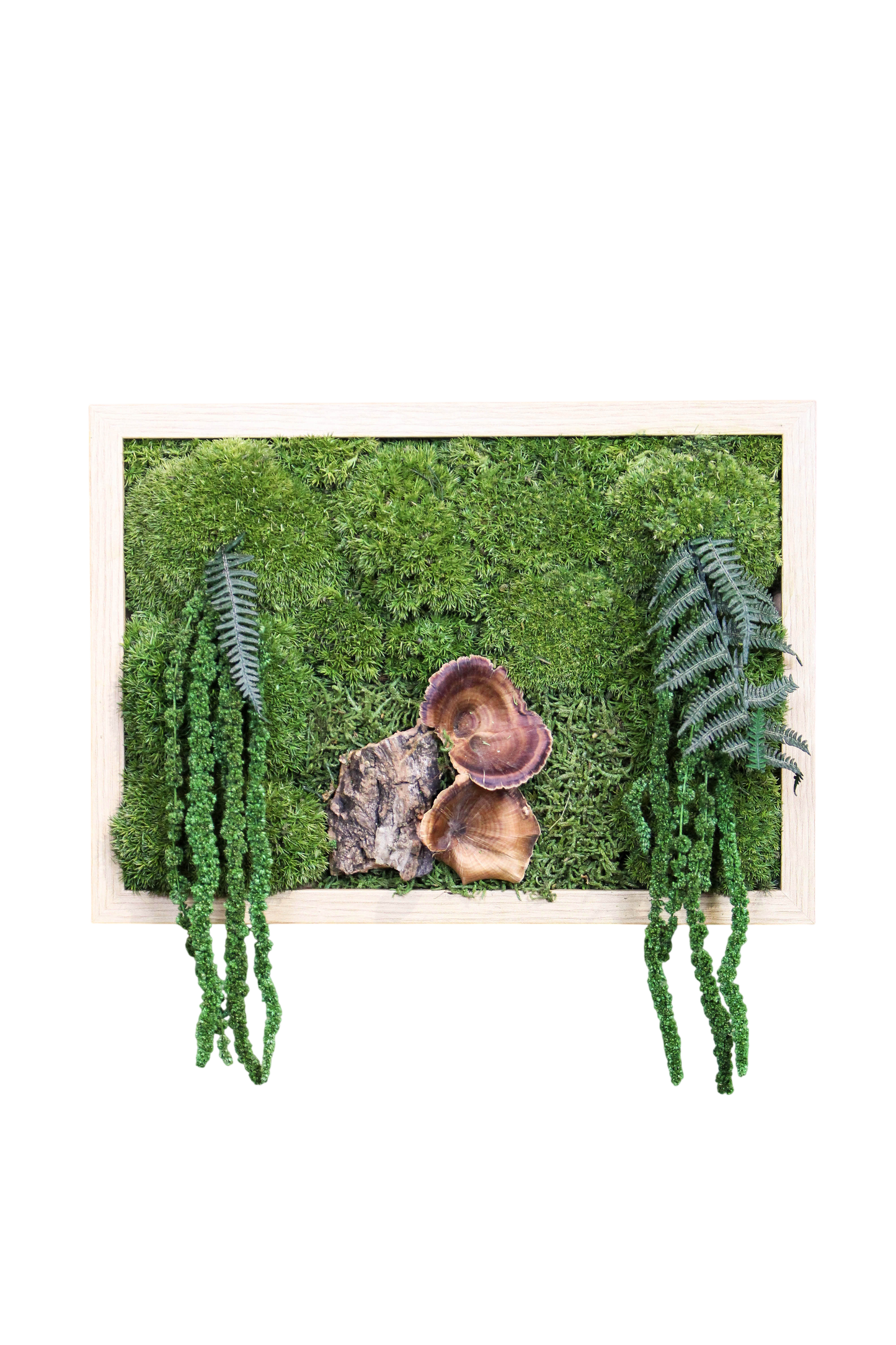 Preserved Moss Art - Forest (Wooden Frame)