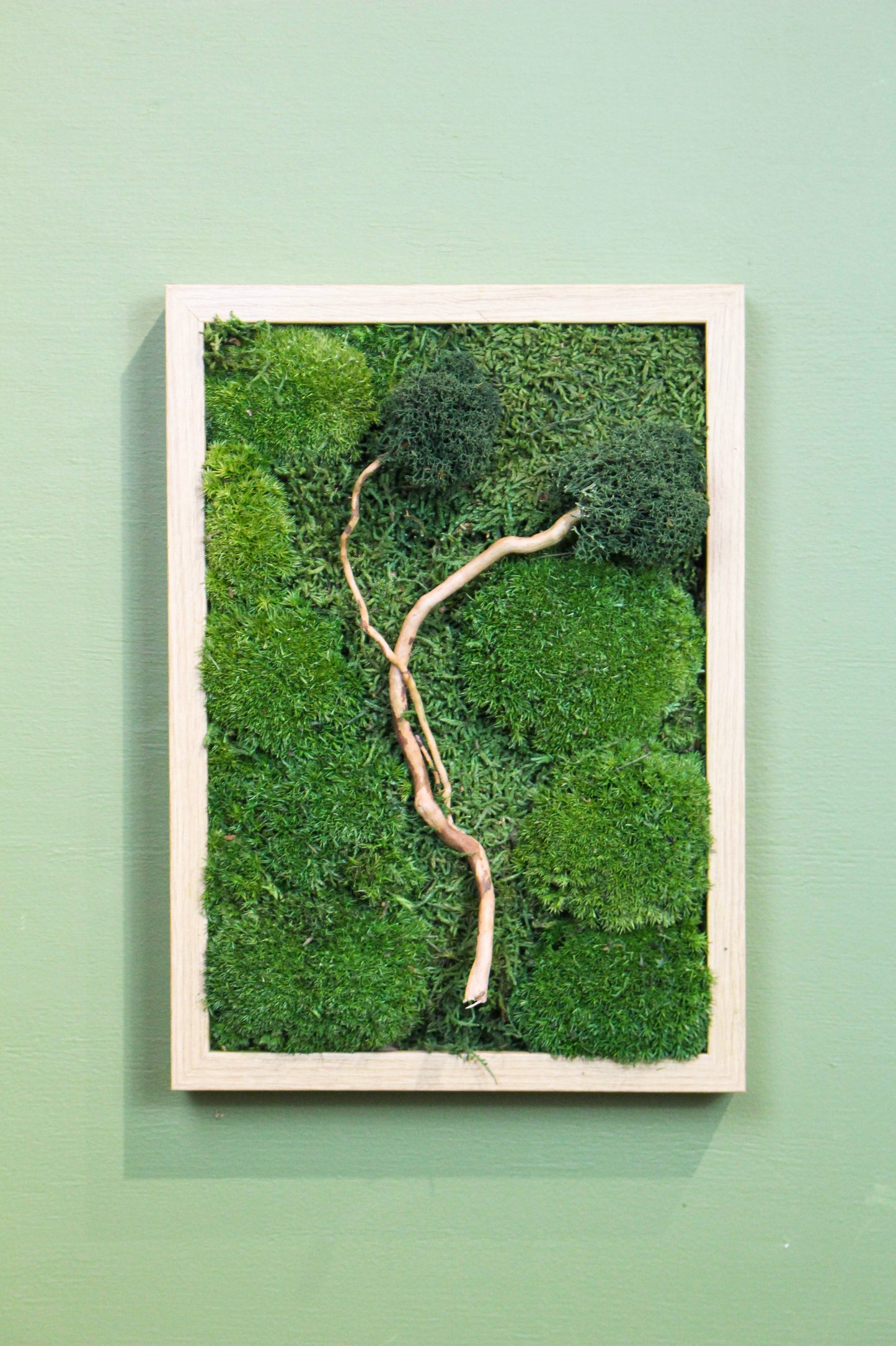 Preserved Moss Art - Zen (Wooden Frame) A4