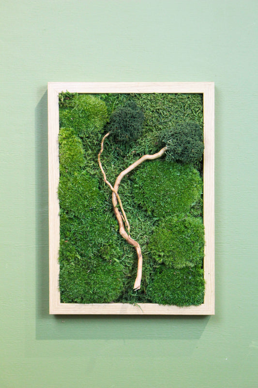 Preserved Moss Art - Zen (Wooden Frame) A4