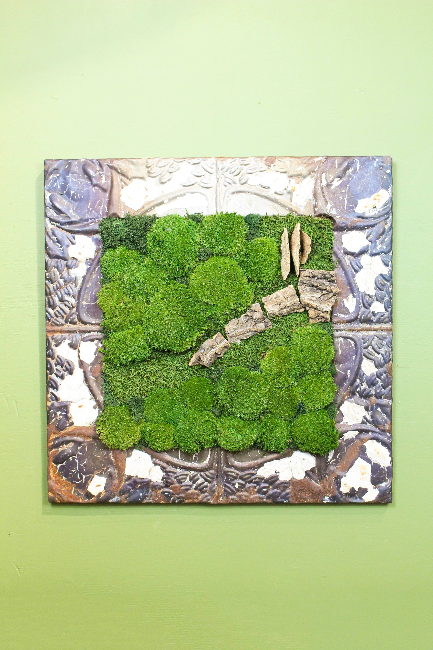Preserved Moss Art (Victorian Frame)
