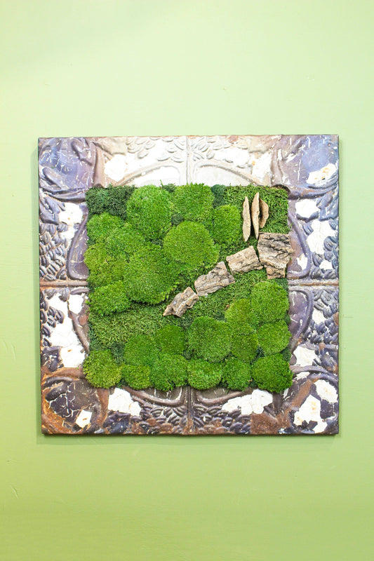 Preserved Moss Art (Victorian Frame)