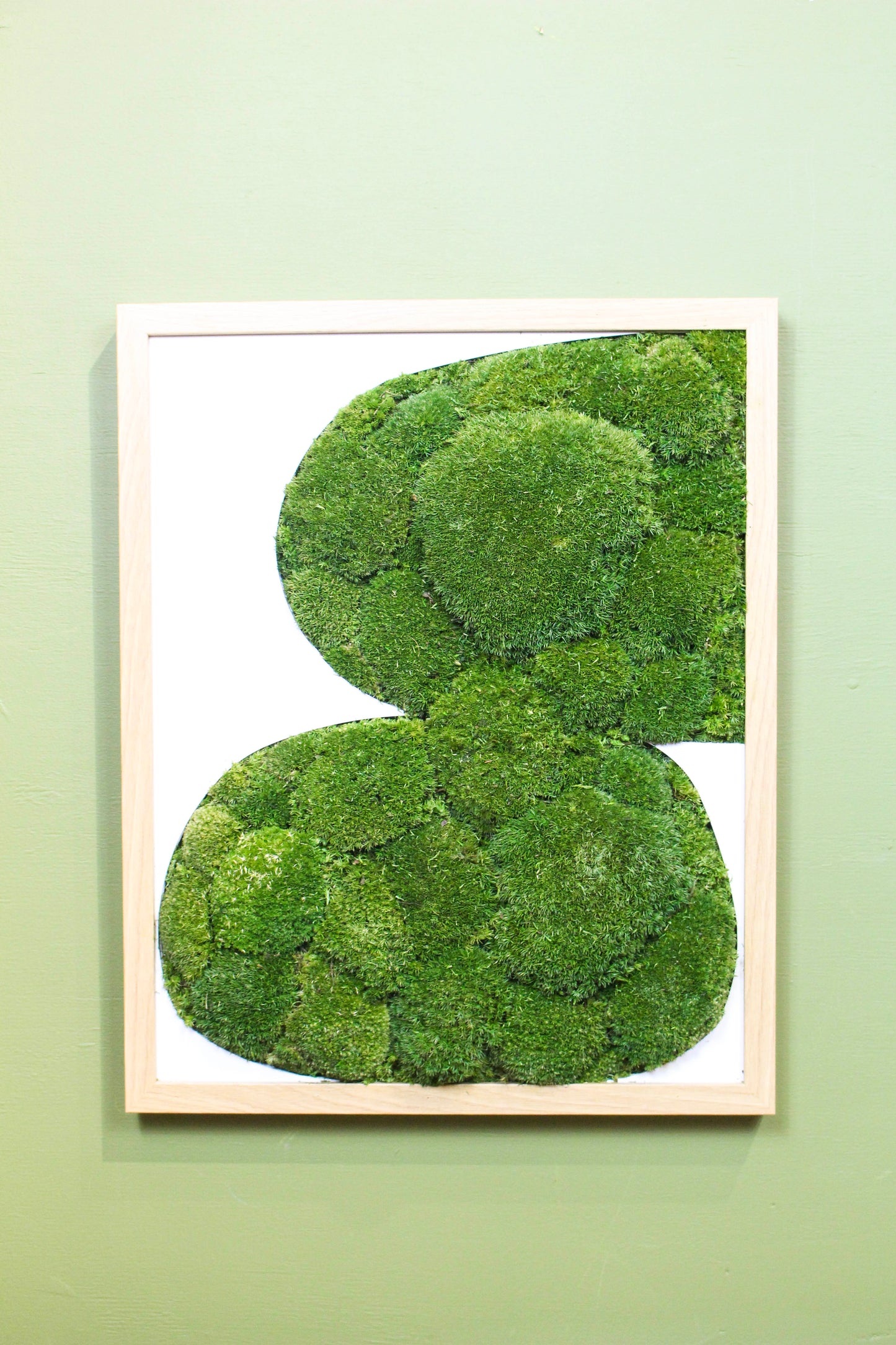 Preserved Moss Art - Contemporary
