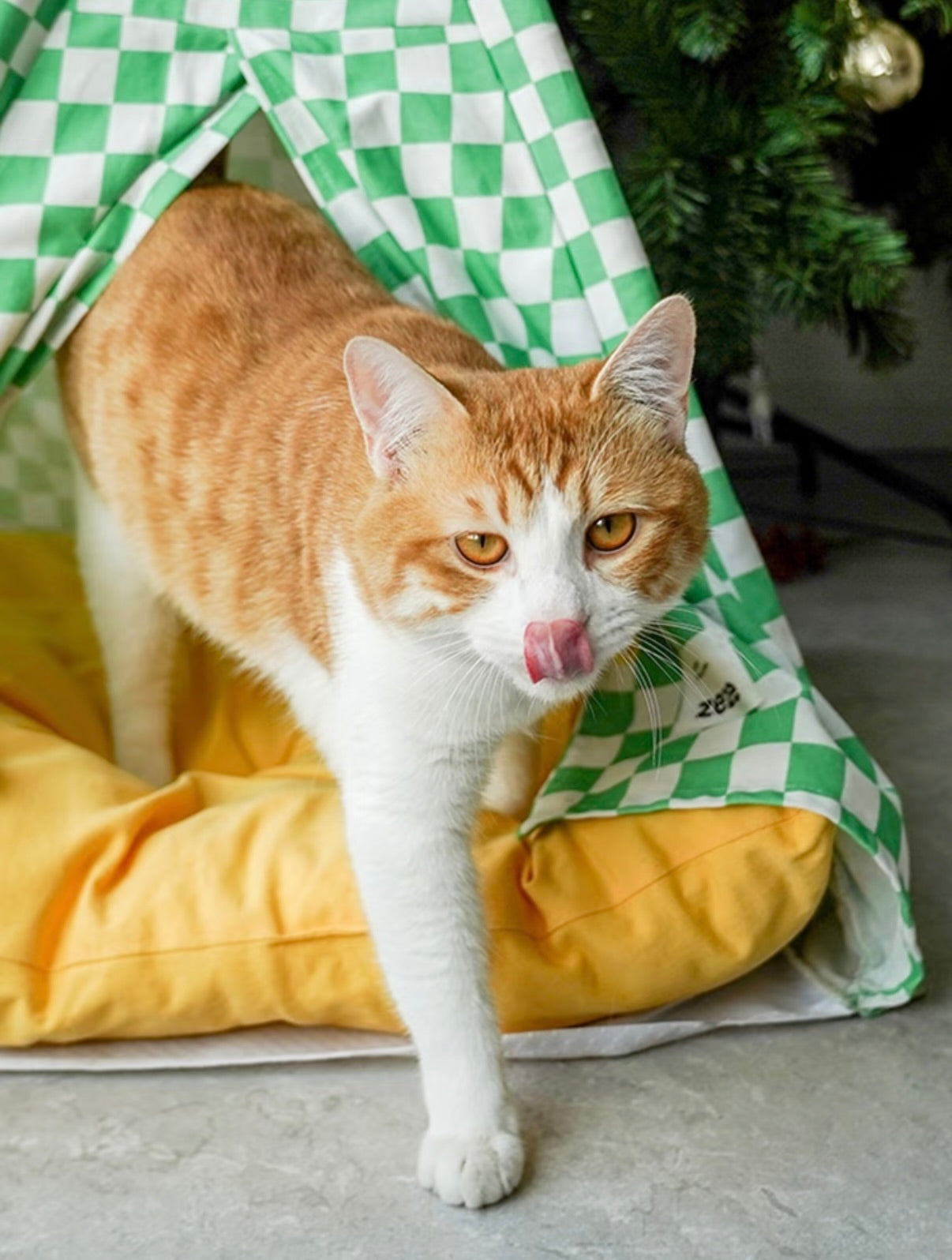 zeze Cat Camping Tent