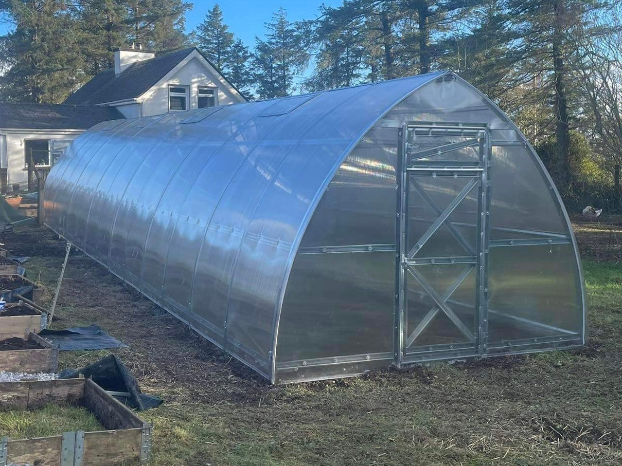 GREENHOUSE SUNGROW, 36M² (3M X 12M; 9.8FT X 39.4FT)