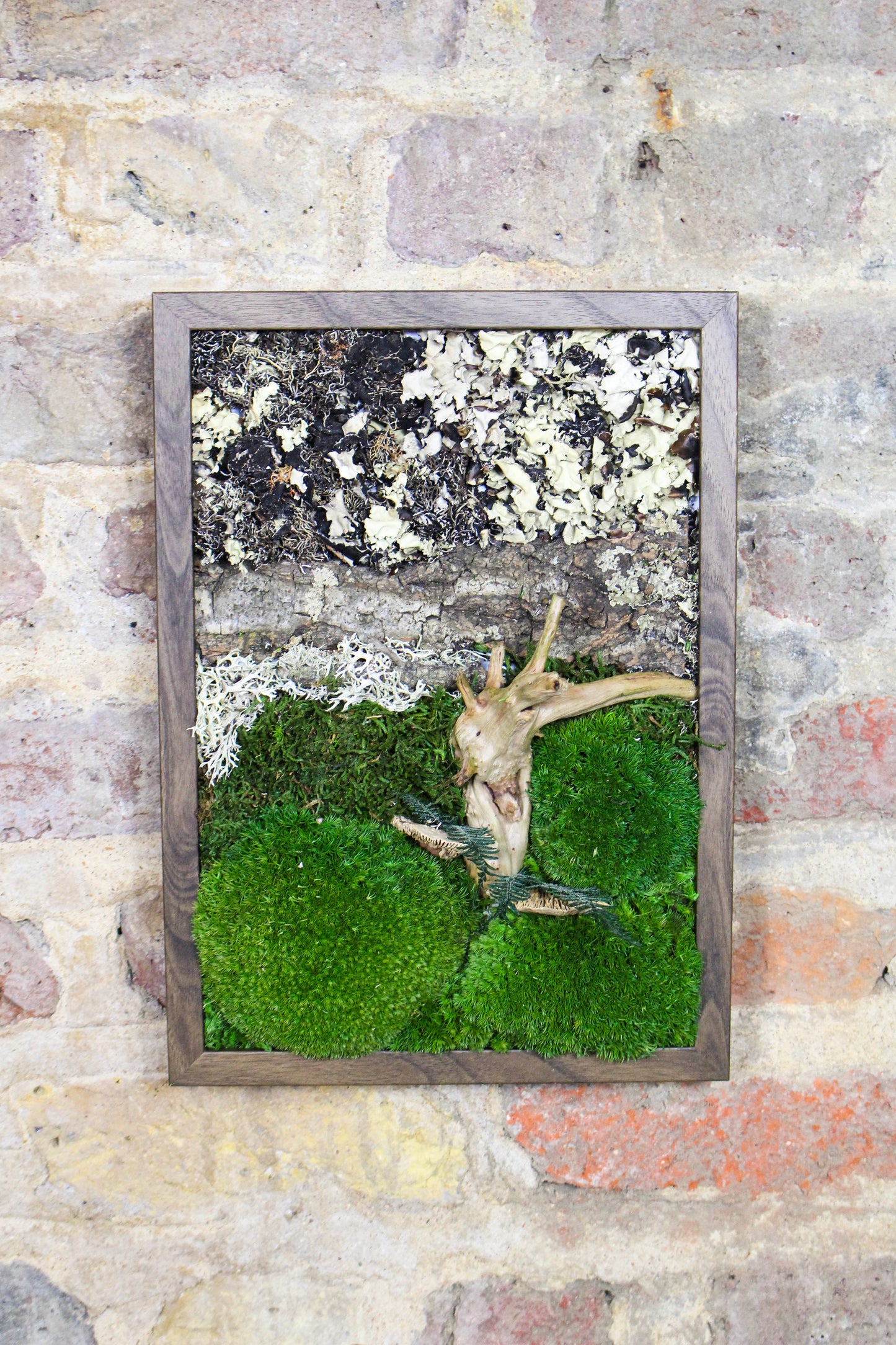Preserved Moss Art - (Wooden Frame) A4 FR74