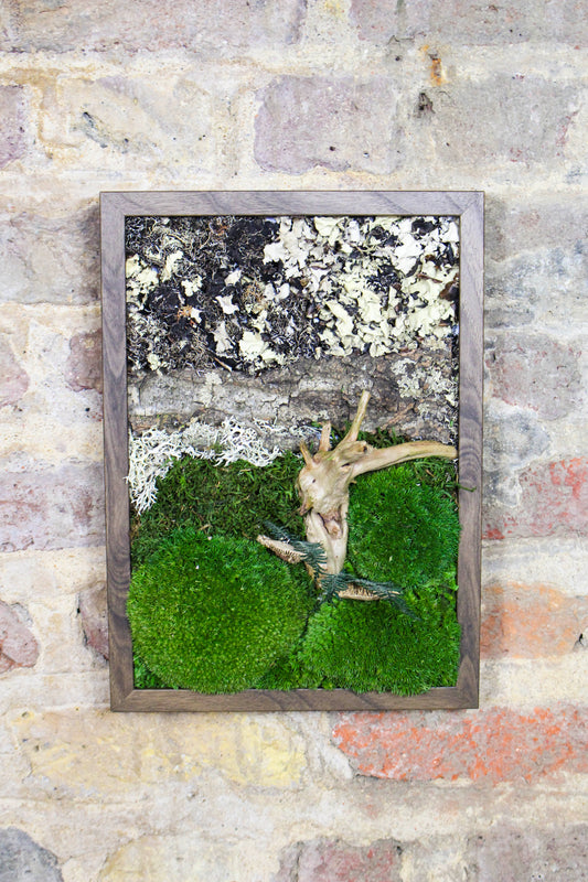 Preserved Moss Art - (Wooden Frame) A4 FR74