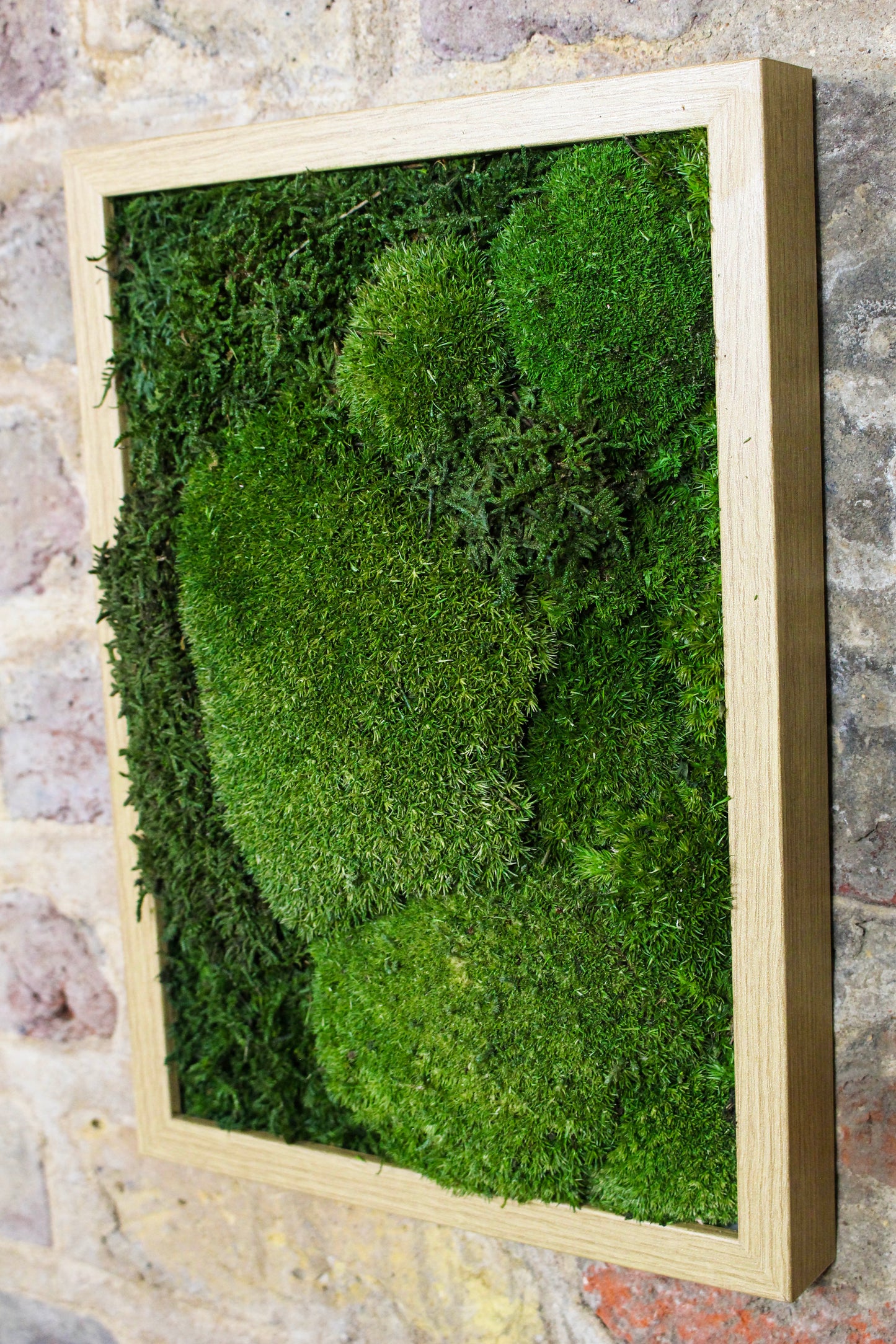 Preserved Moss Art - (Wooden Frame) A4 FR79