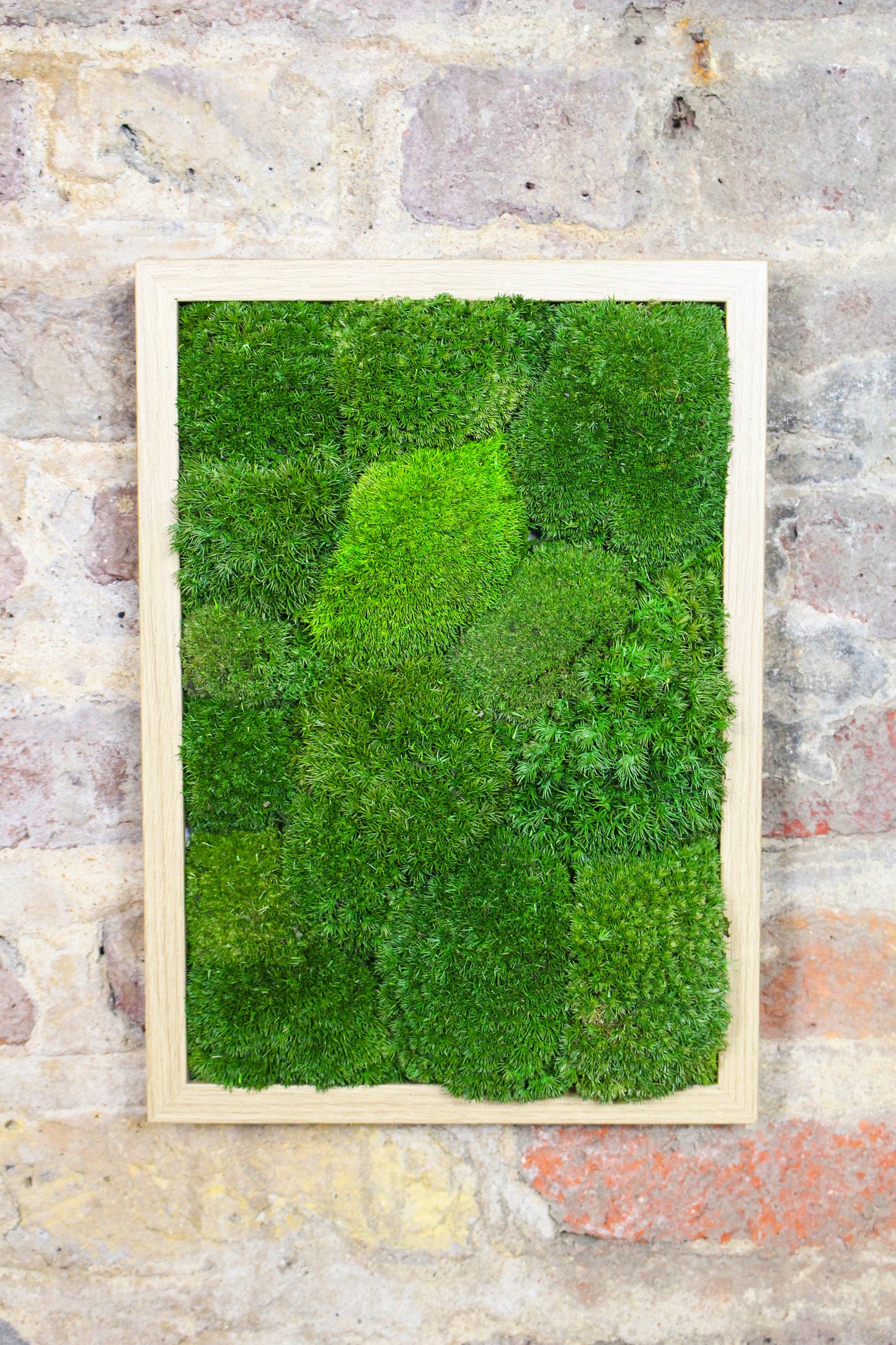 Preserved Moss Art - (Wooden Frame) A4 FR80