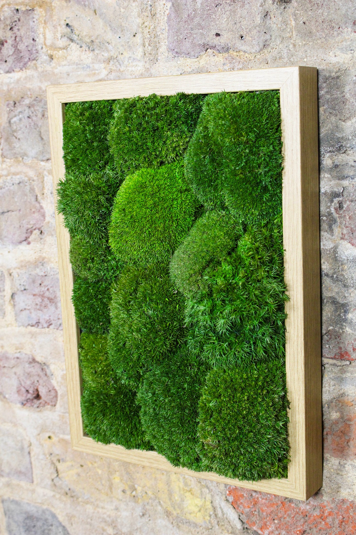 Preserved Moss Art - (Wooden Frame) A4 FR80