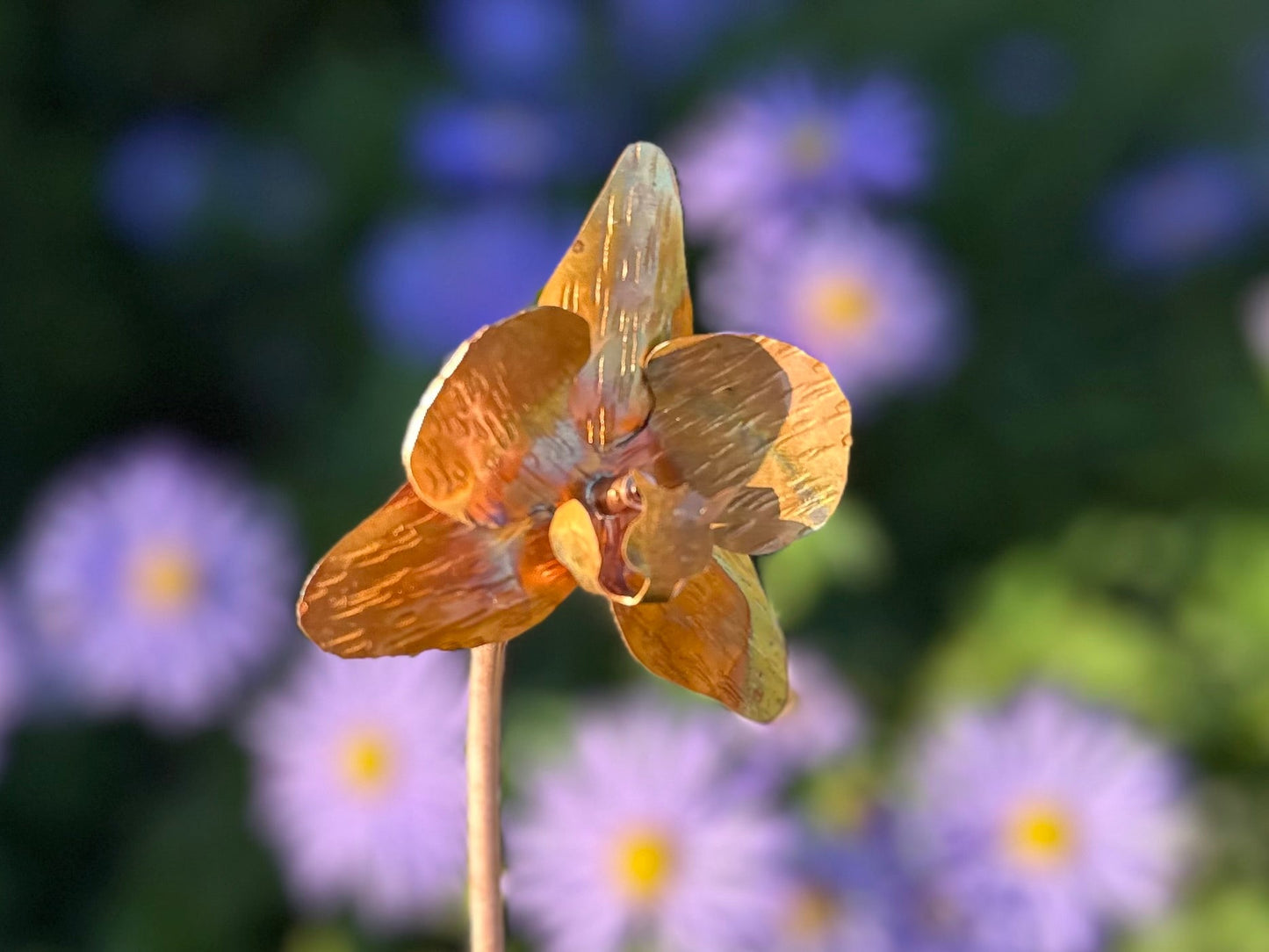 Copper Orchid Flower