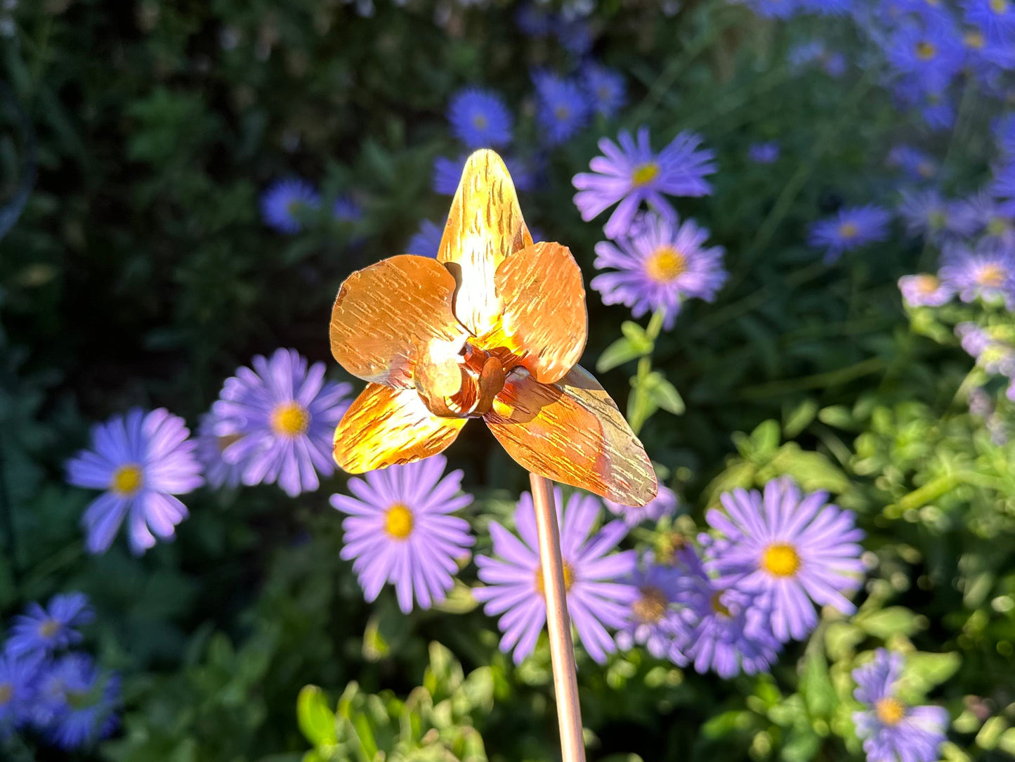 Copper Orchid Flower