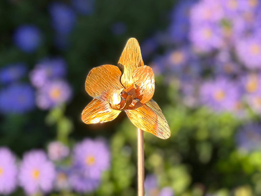 Copper Orchid Flower
