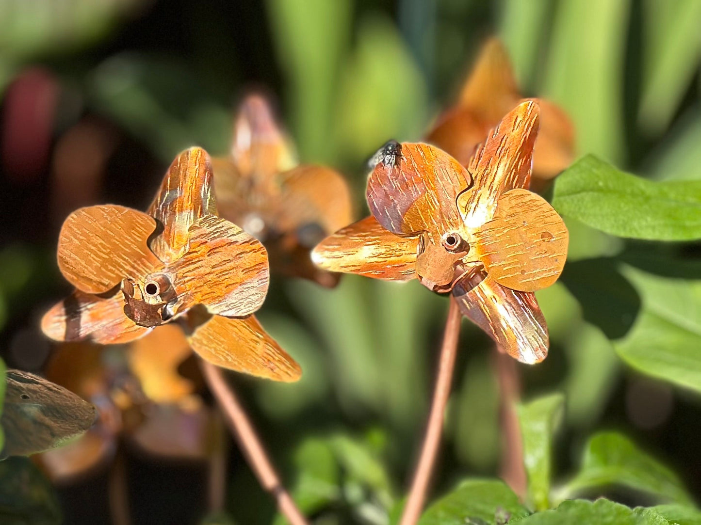 Copper Orchid Flower