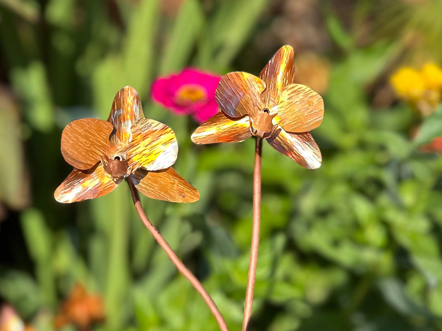 Copper Orchid Flower