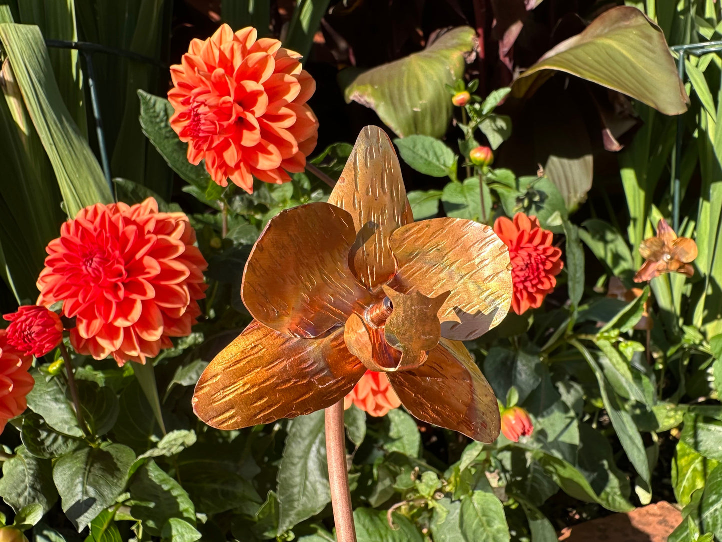 Copper Orchid Flower