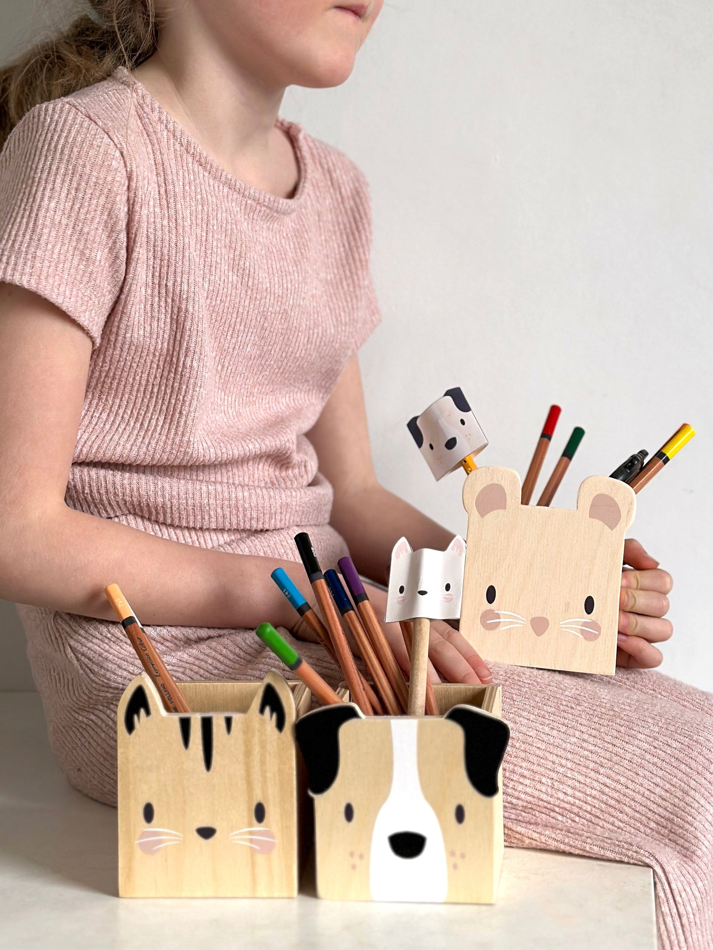 Pet Pencil Holders