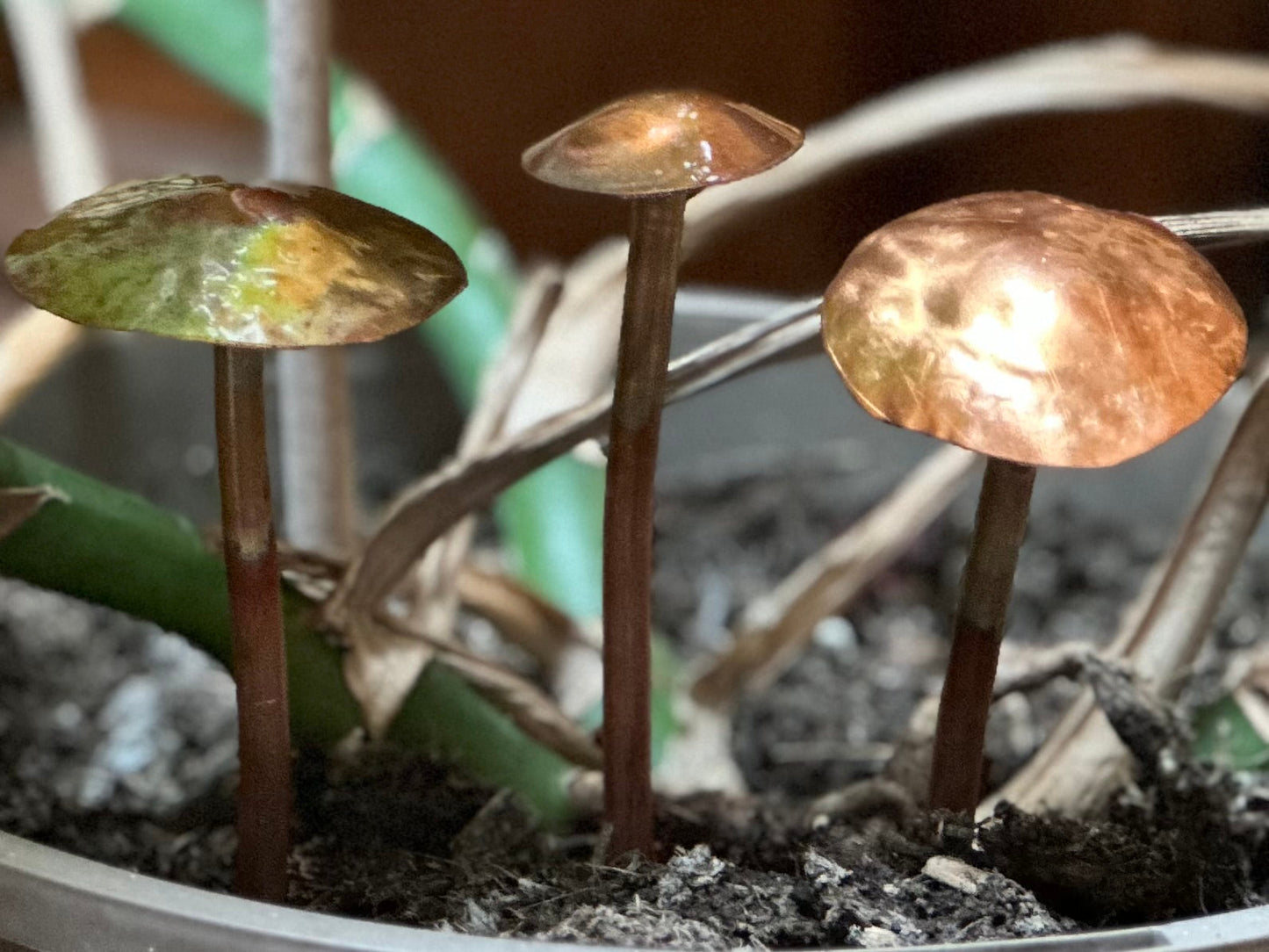 3 Copper Mushrooms