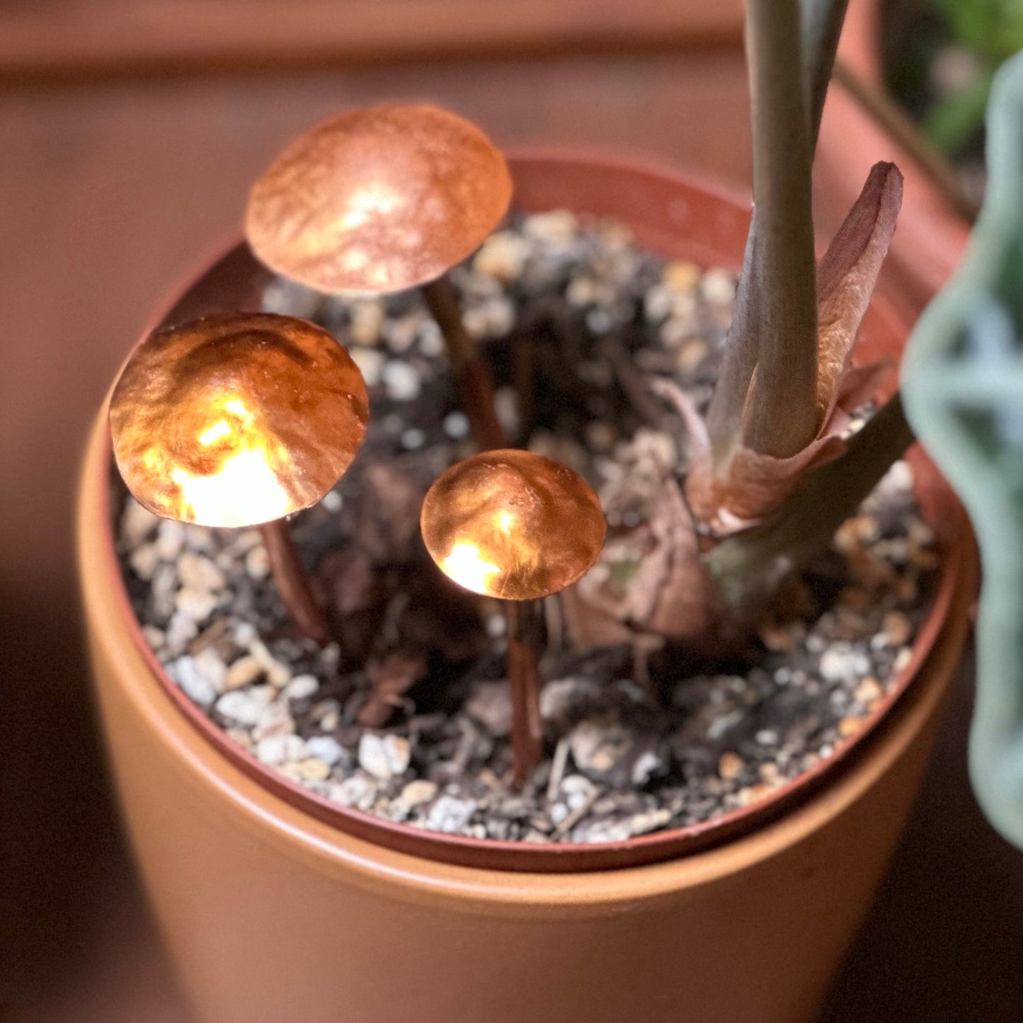 3 Copper Mushrooms