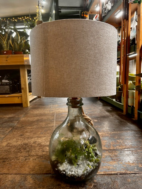 Terrarium Lamp (Various Sizes)