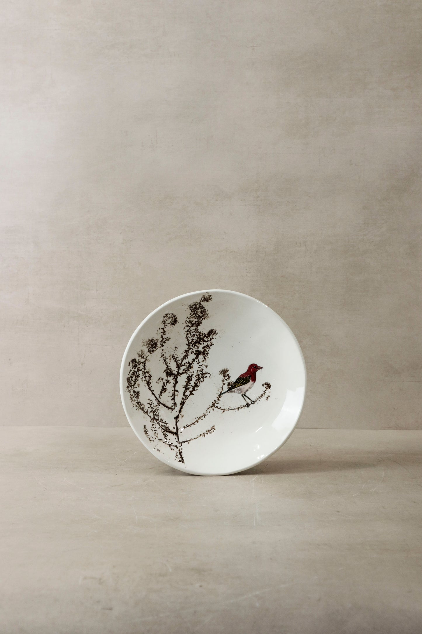Fynbos & Bird ceramic plate n°19