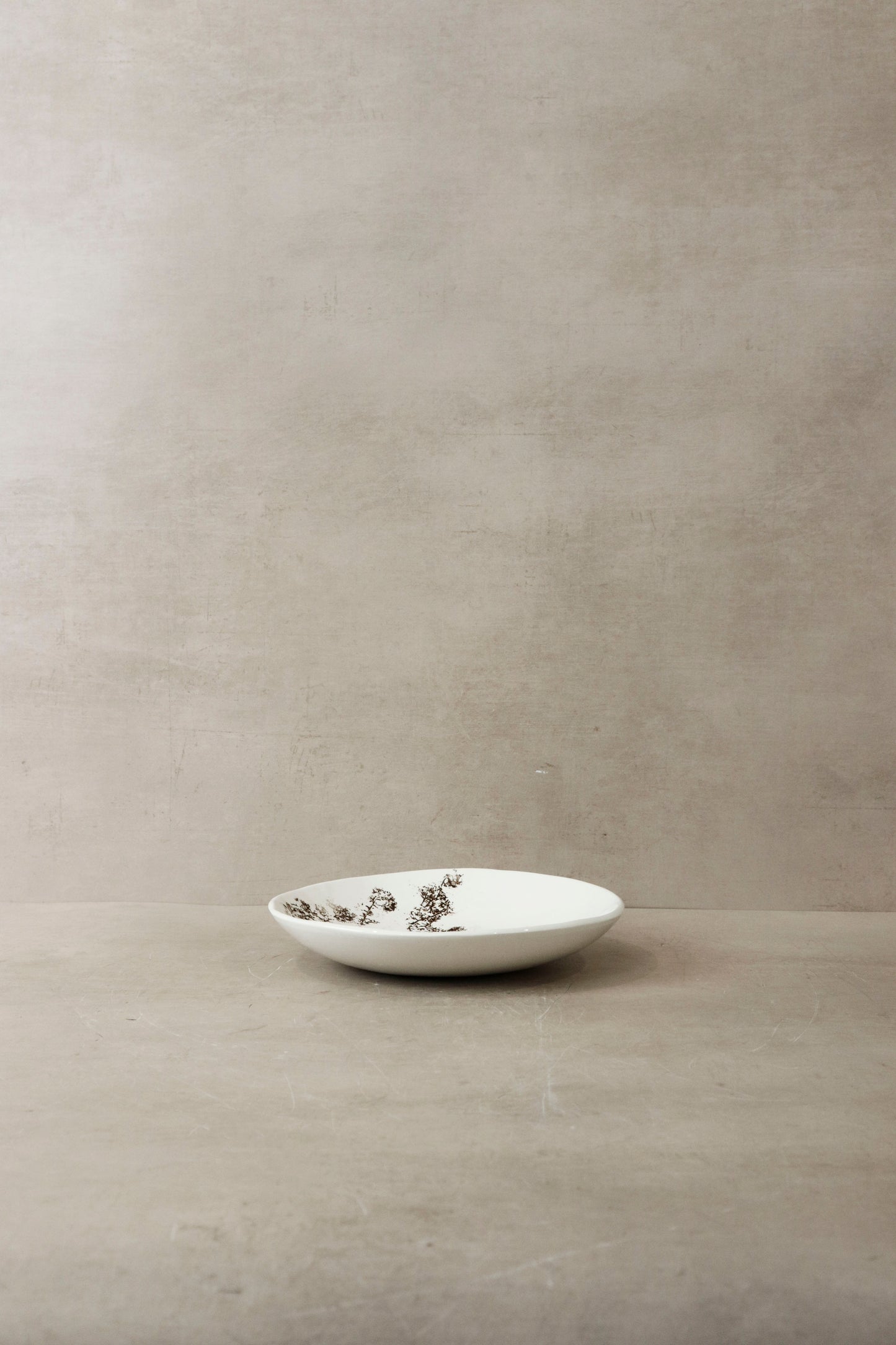 Fynbos & Bird ceramic plate n°19