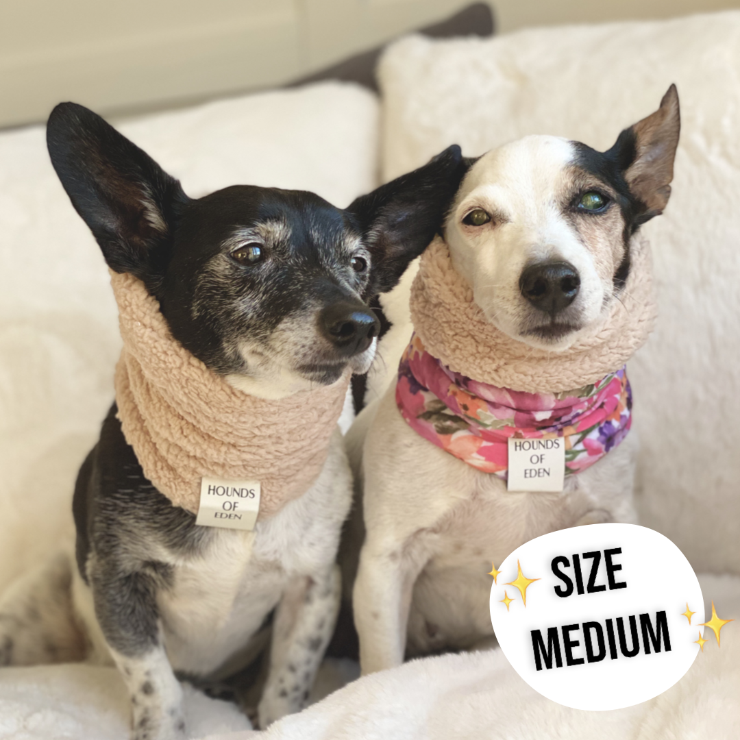 Steel Leopard Dog Snood