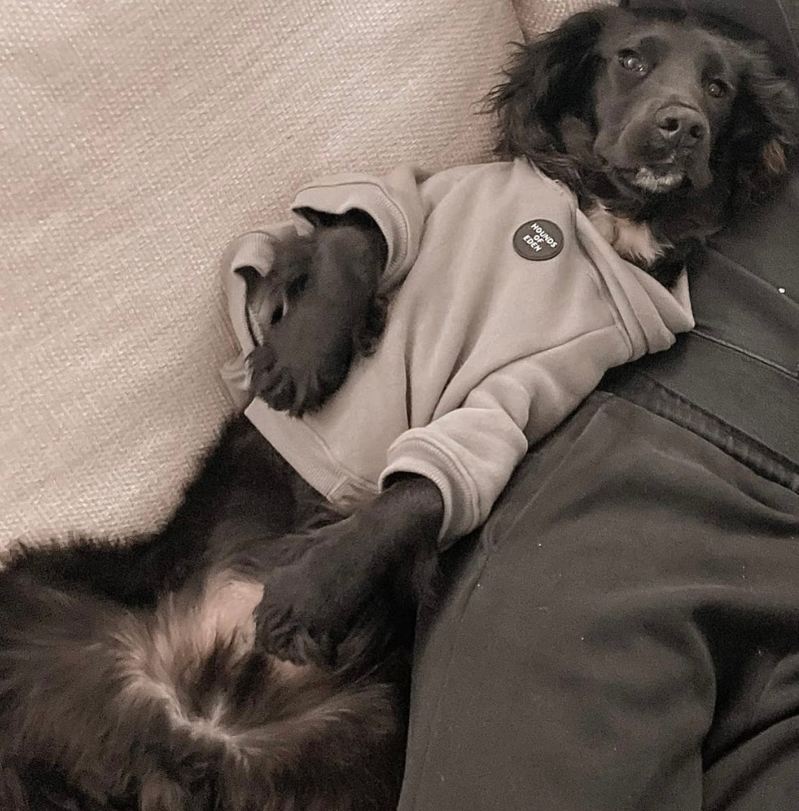 Dog Hoodie - Charcoal Grey