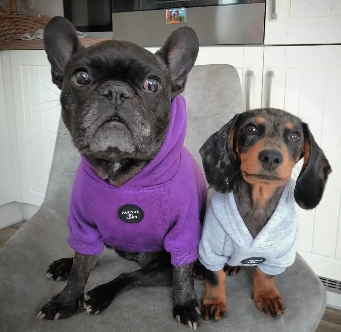 Dog Hoodie - Purple