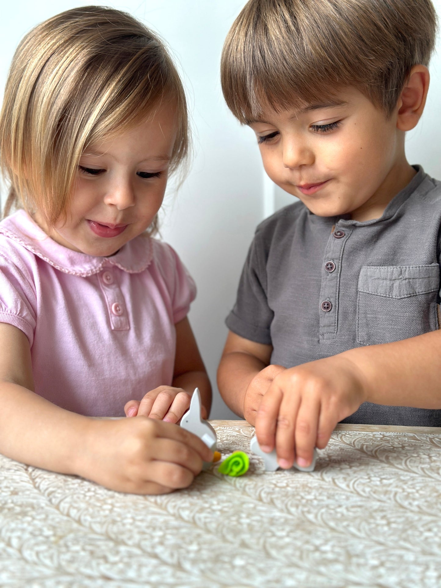 Rabbit Hutch Pet Set