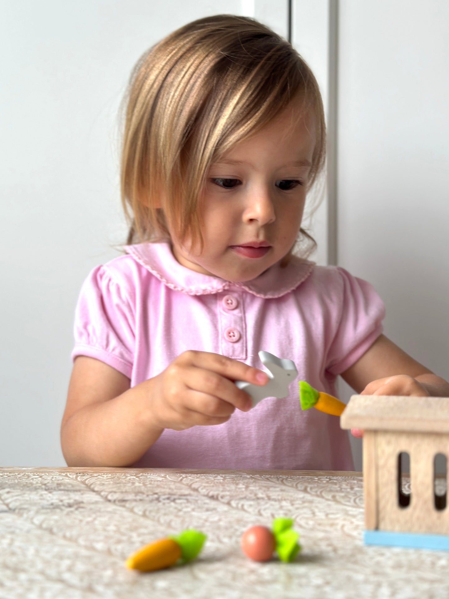 Rabbit Hutch Pet Set