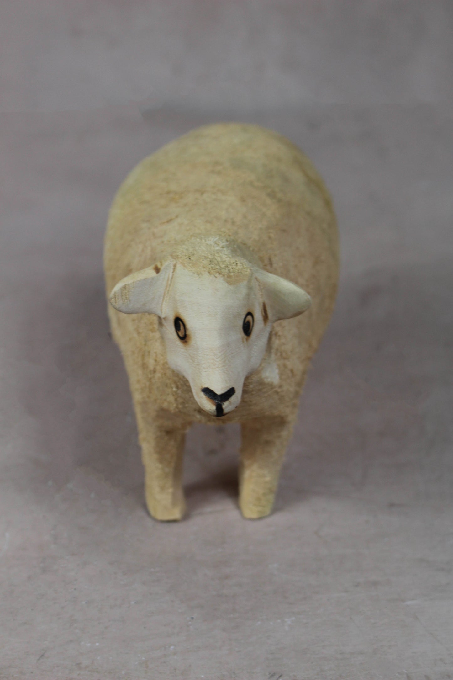 Swazi Sheep 141.1