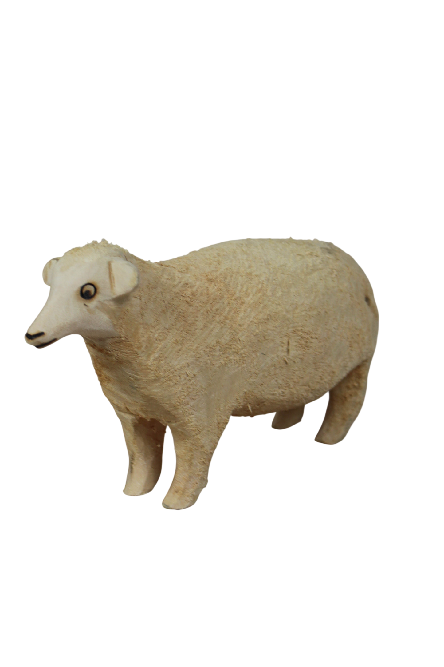 Swazi Sheep 141.2