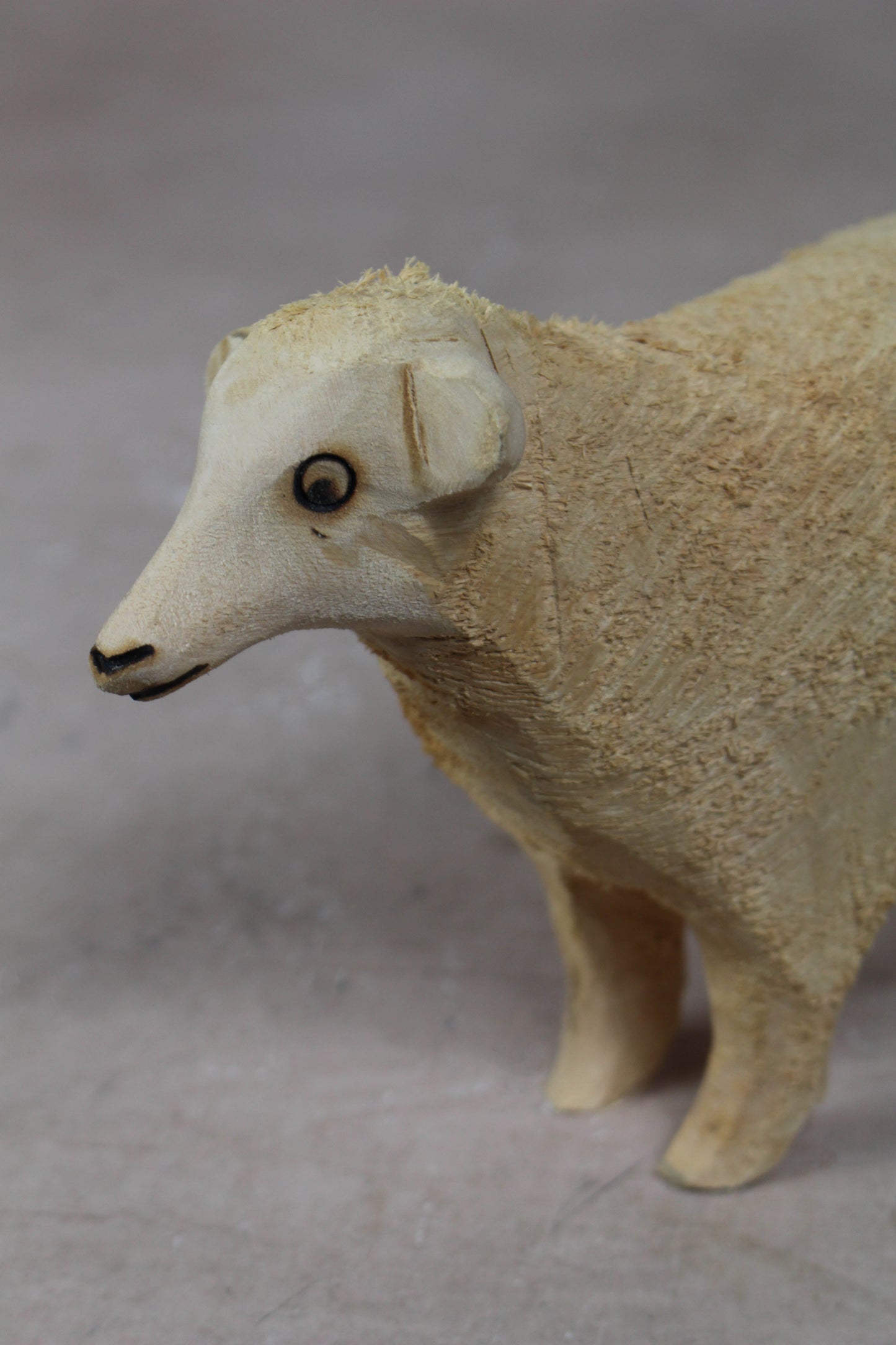 Swazi Sheep 141.2