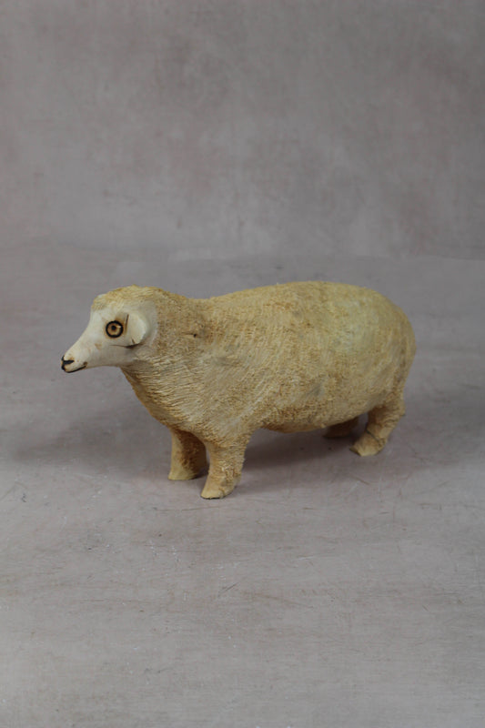 Swazi Sheep 141.3