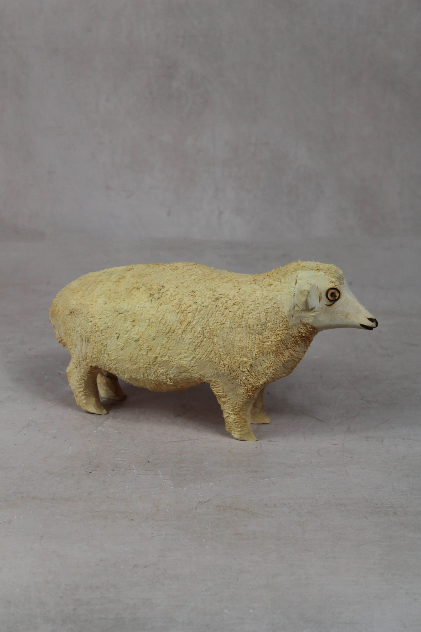 Swazi Sheep 141.3