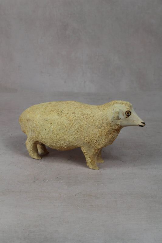 Swazi Sheep 141.3
