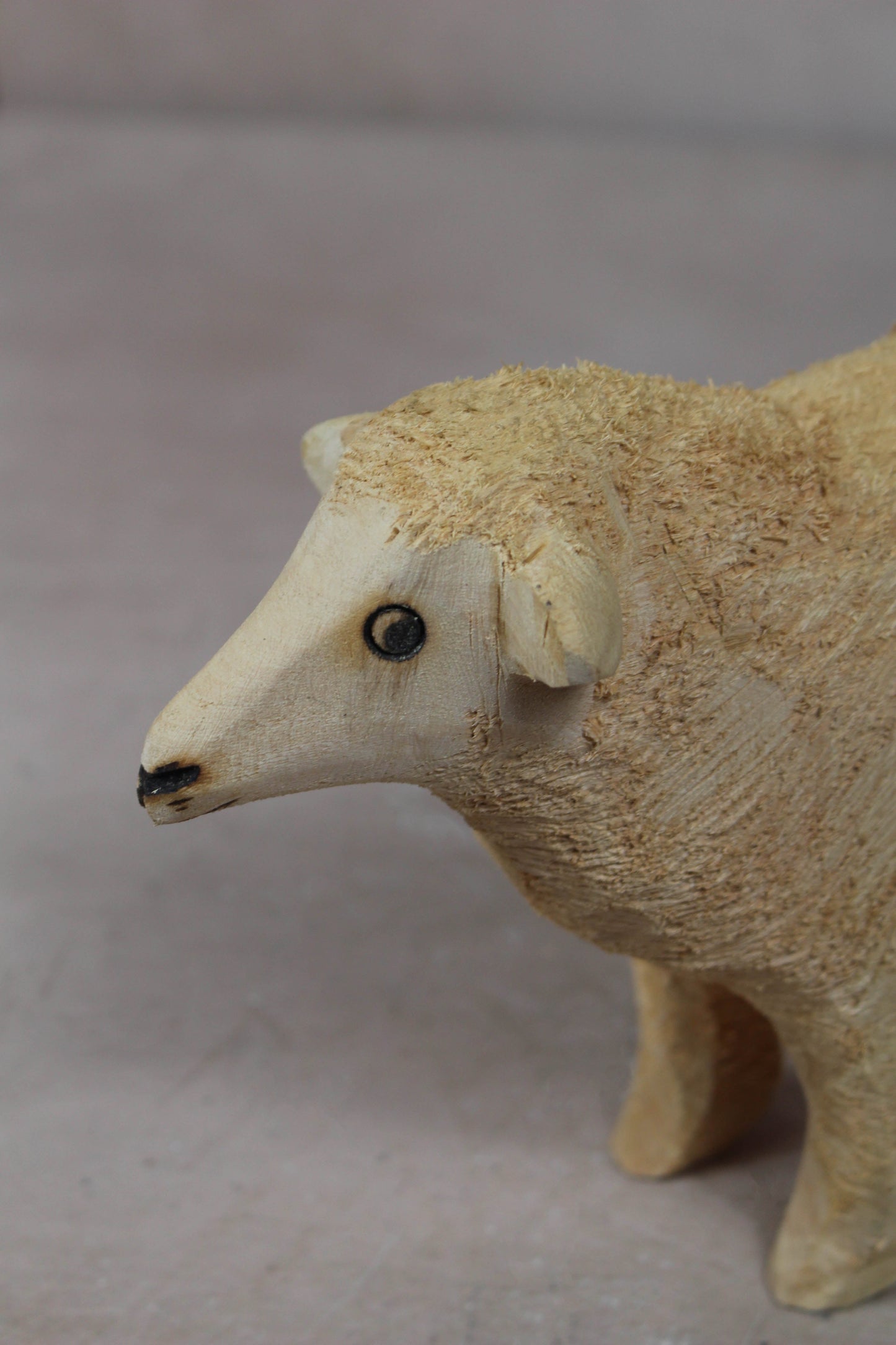 Swazi Sheep 141.4