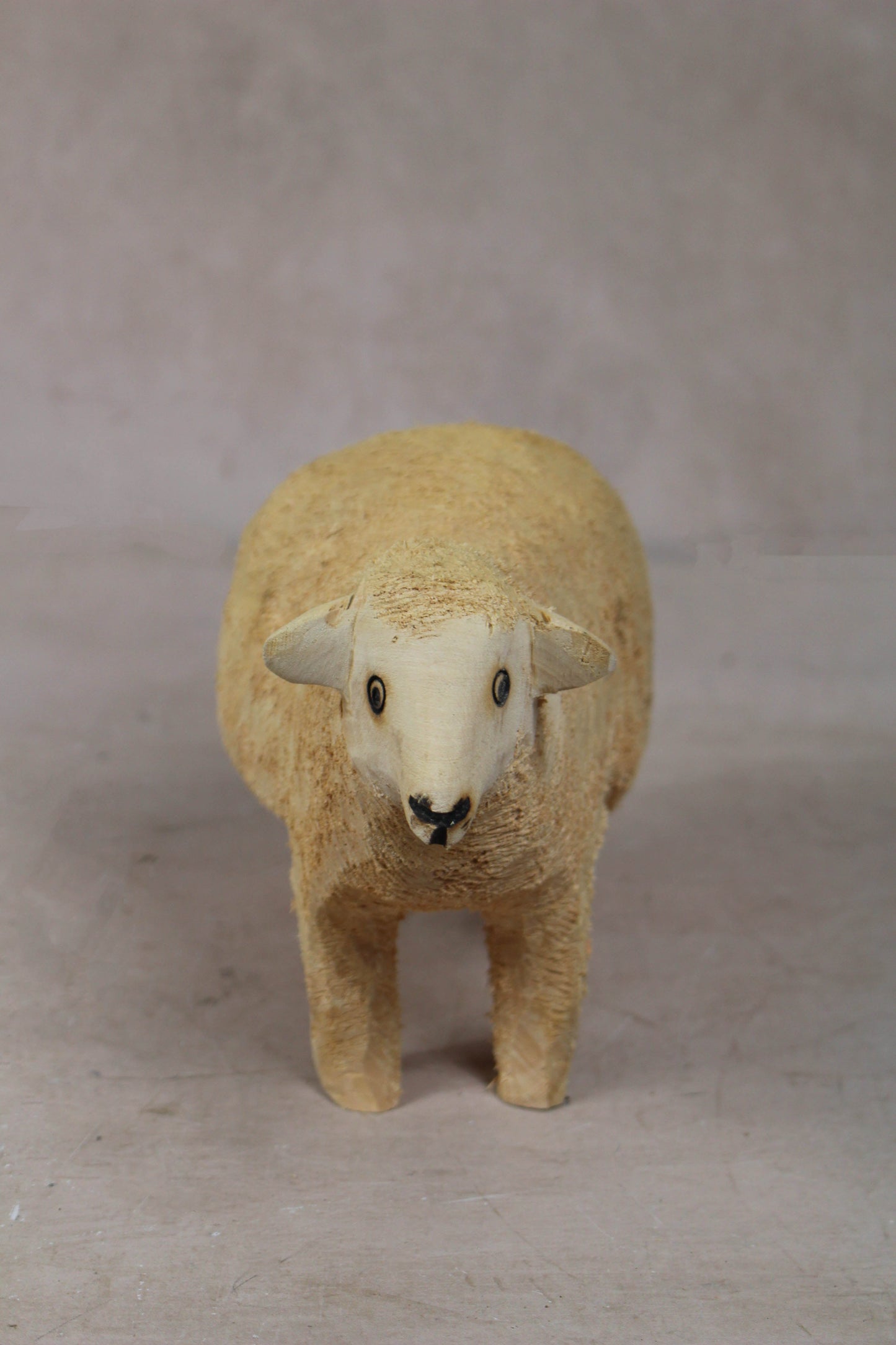 Swazi Sheep 141.4
