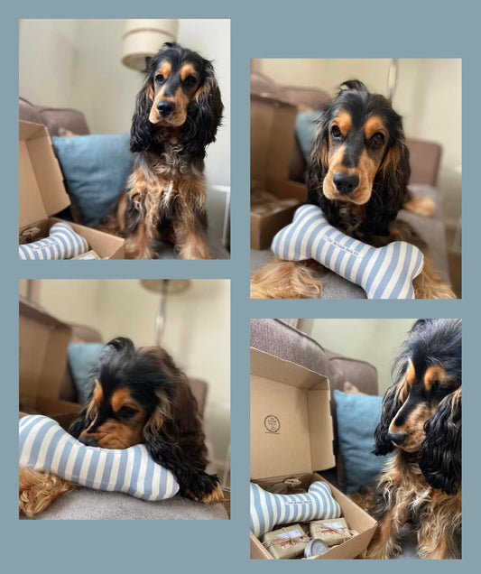 Dogs Pampering/Grooming Gift Set - Choice of Fabrics for Toy Bone