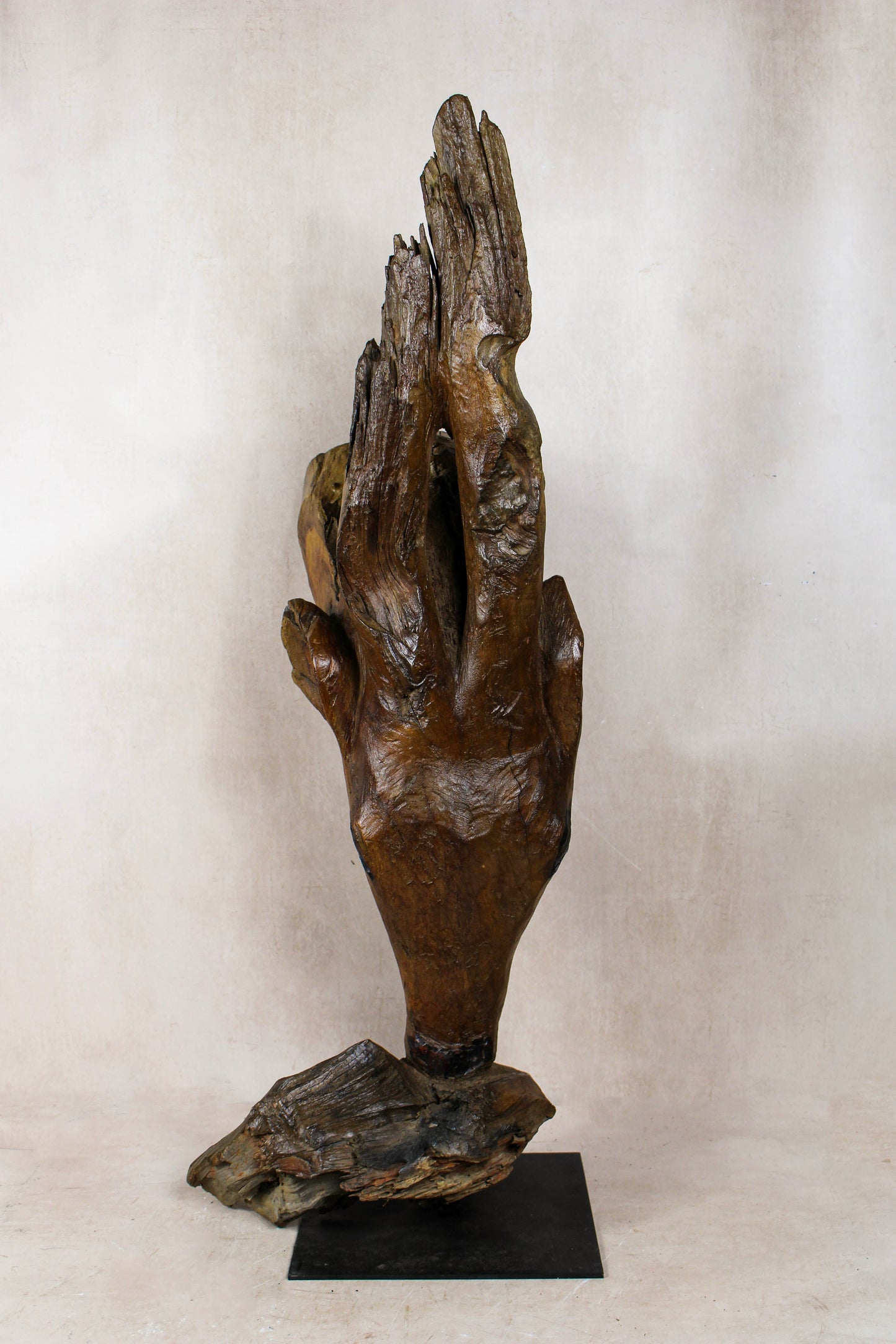 Driftwood Antelop Sculpture - 185.1