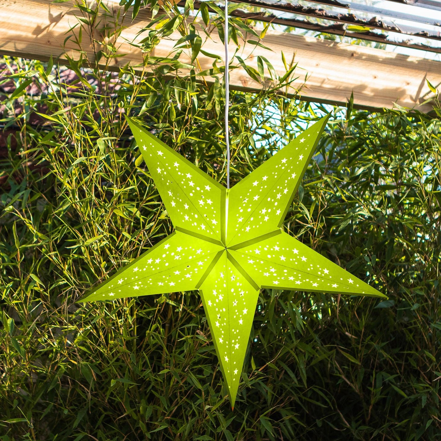 Multi Coloured Party Pack | 20 Stars