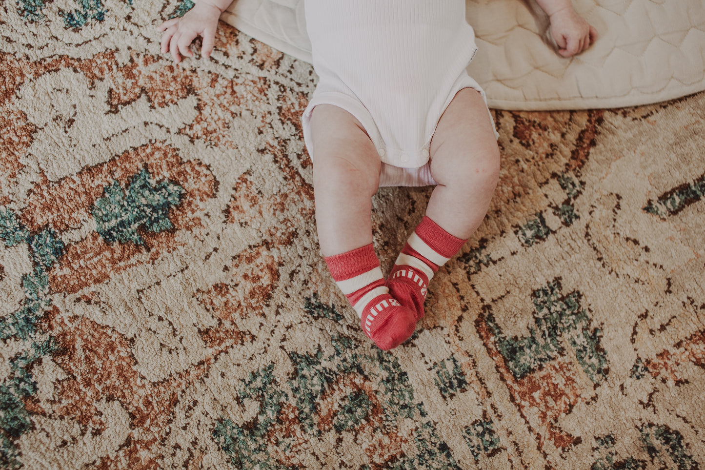 Lamington Crew Socks - Candy