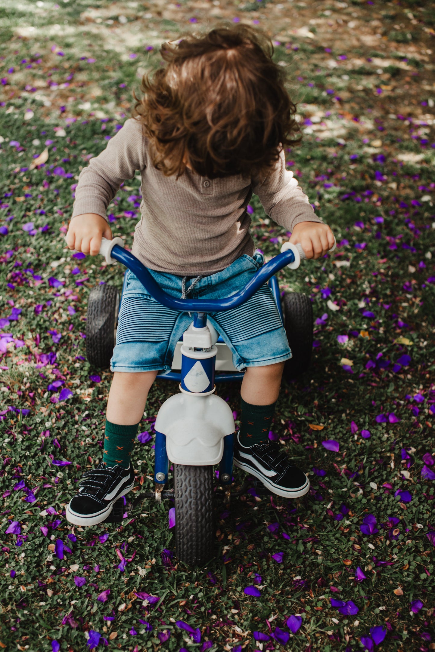 Lamington Crew Socks - Wanaka