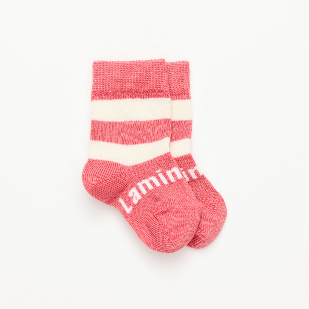 Lamington Crew Socks - Candy