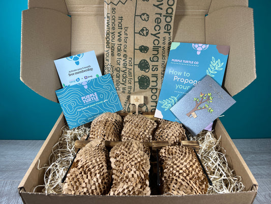 Plant Propagation Gift Set #3